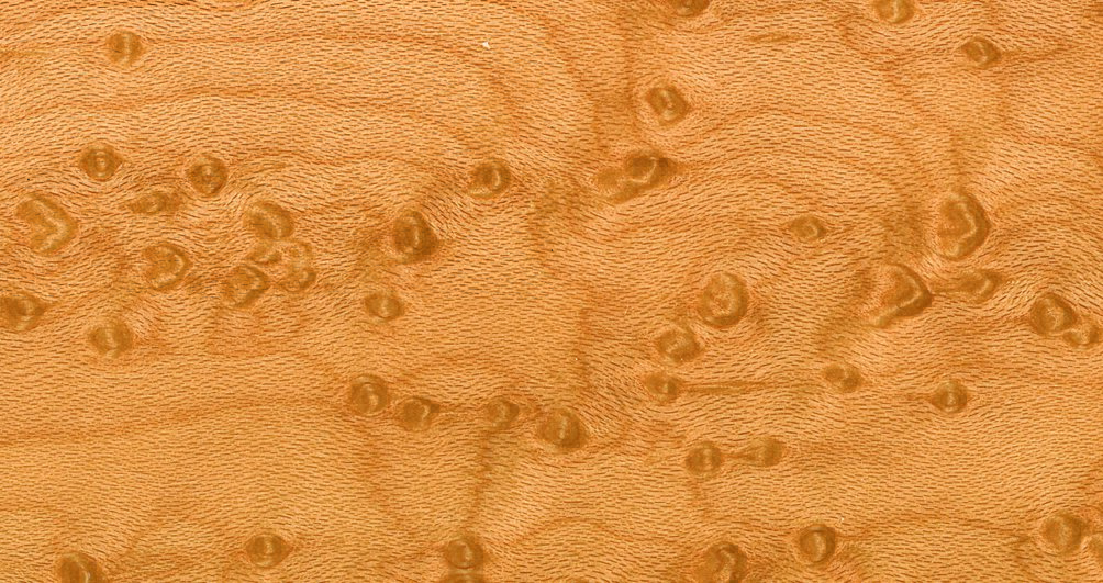 Birdseye Maple