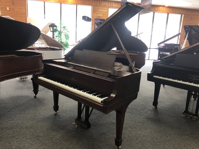 Steinway M