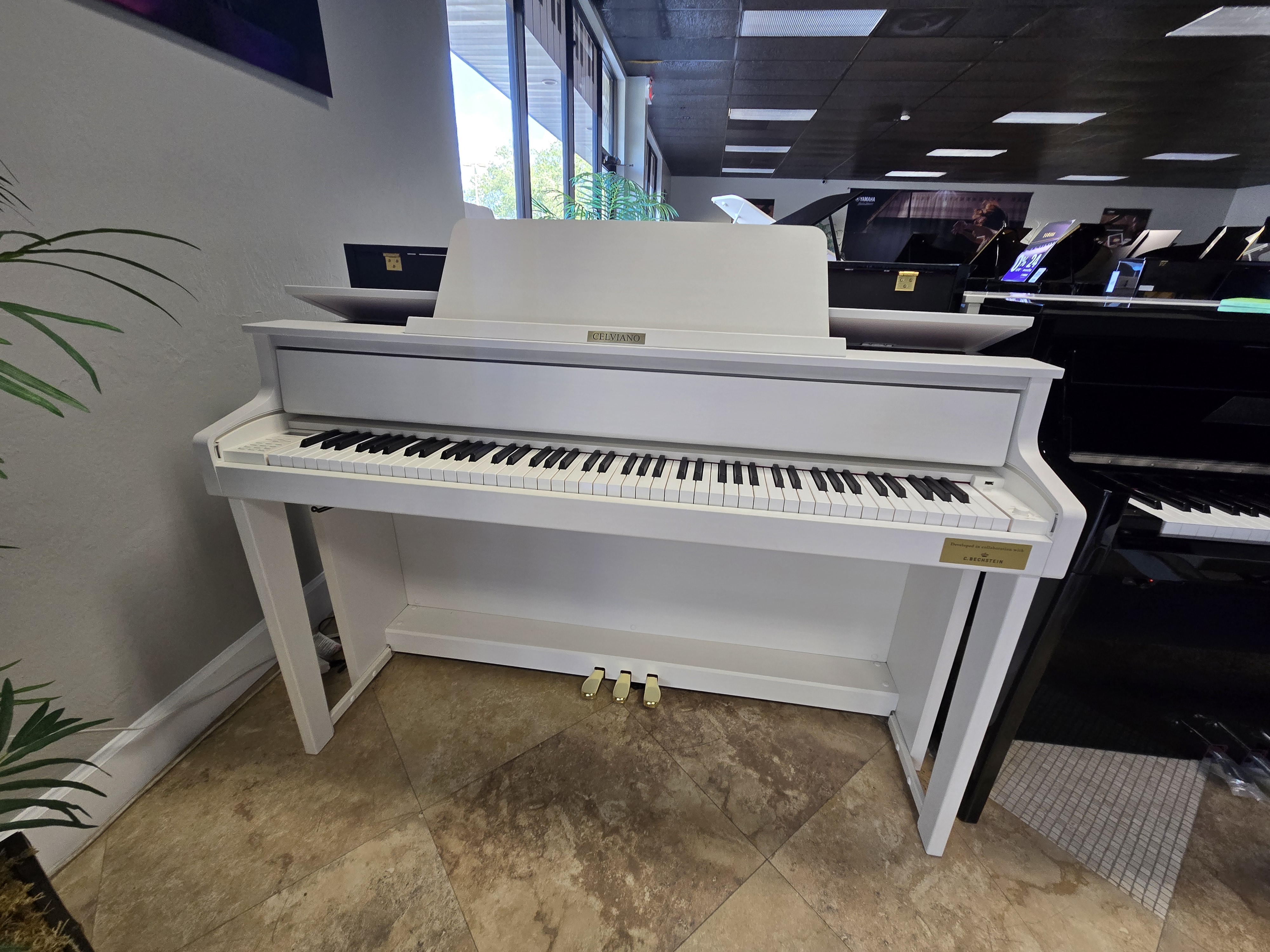 Casio Celviano GP Naples