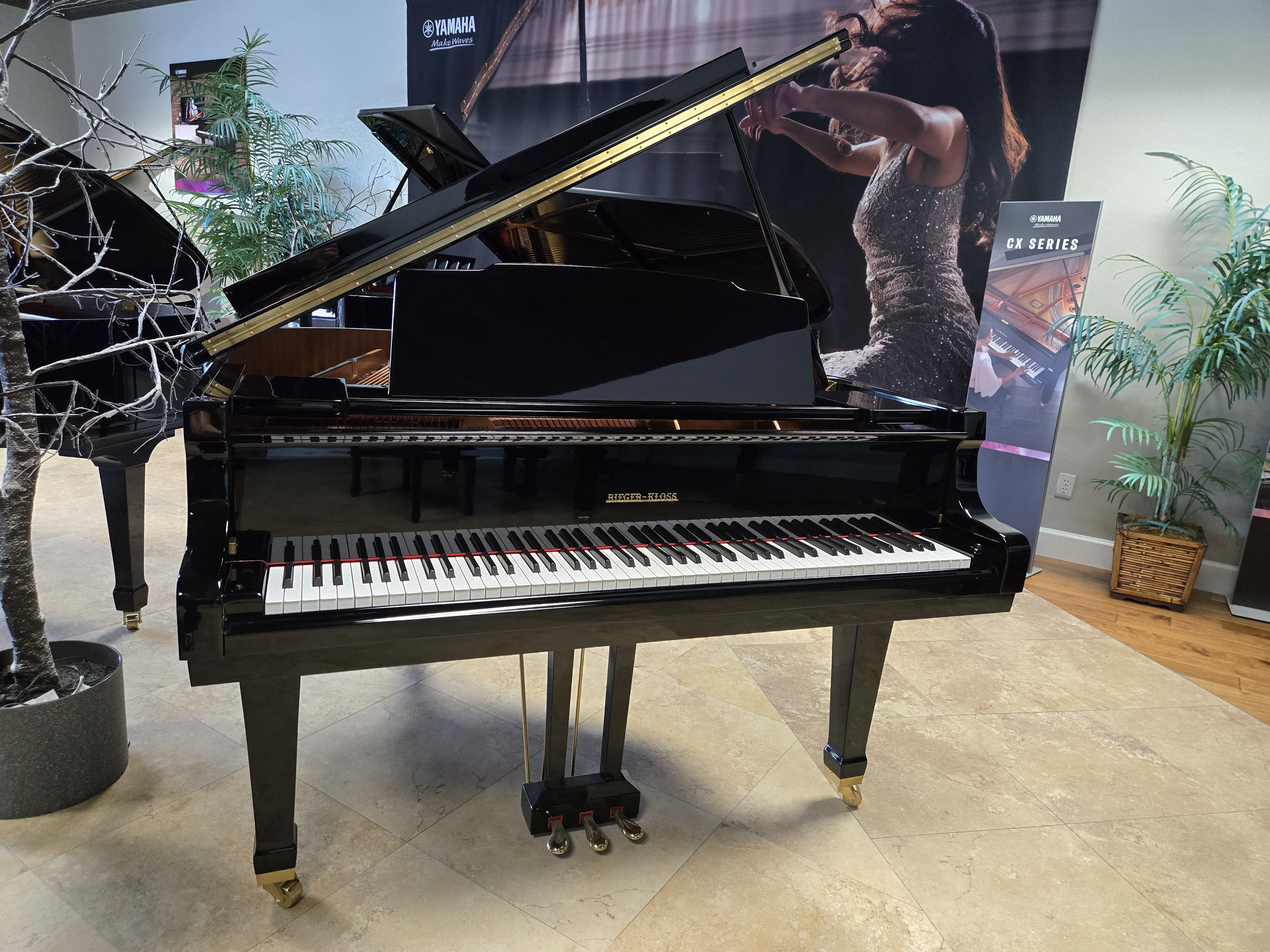 Rieger Kloss BabyGrand