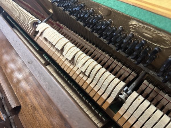 AeolianBloomingHammers